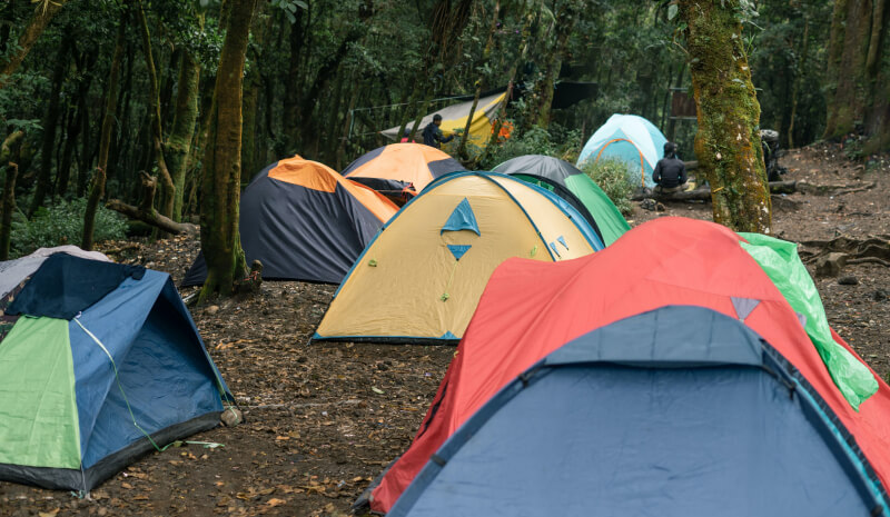 How To Enjoy Adventure Trip With Gowilds